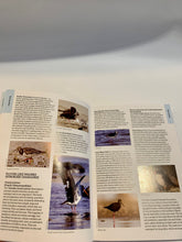 Load image into Gallery viewer, 50 Best Birdwatching Sites NZ