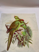 Load image into Gallery viewer, Cushion Cover - Kakariki