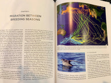 Load image into Gallery viewer, New Zealand Seabirds- A Natural History