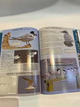 Load image into Gallery viewer, Birds-Beauty Like No Other