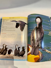 Load image into Gallery viewer, Birds-Beauty Like No Other