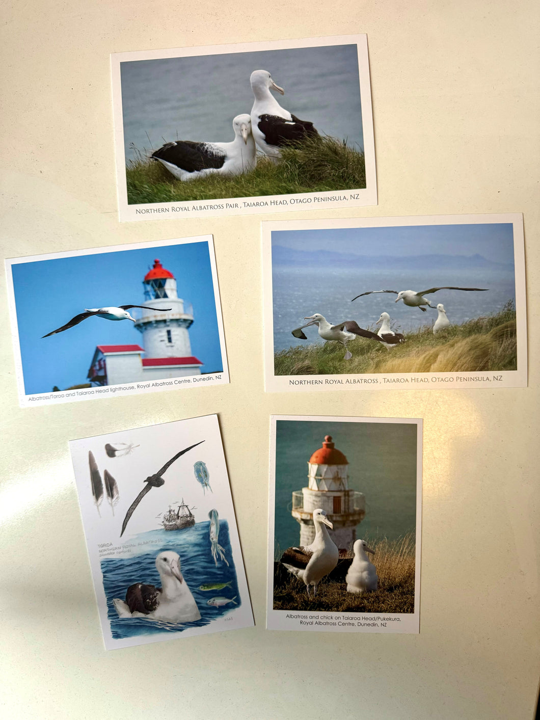 Postcards - 5 pack