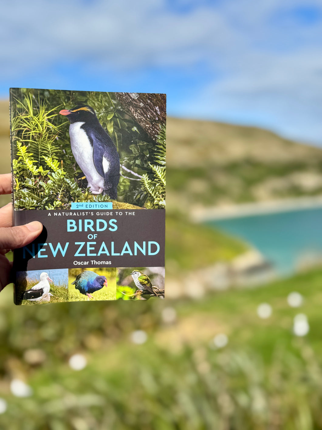 A Naturalists Guide to the Birds of NZ