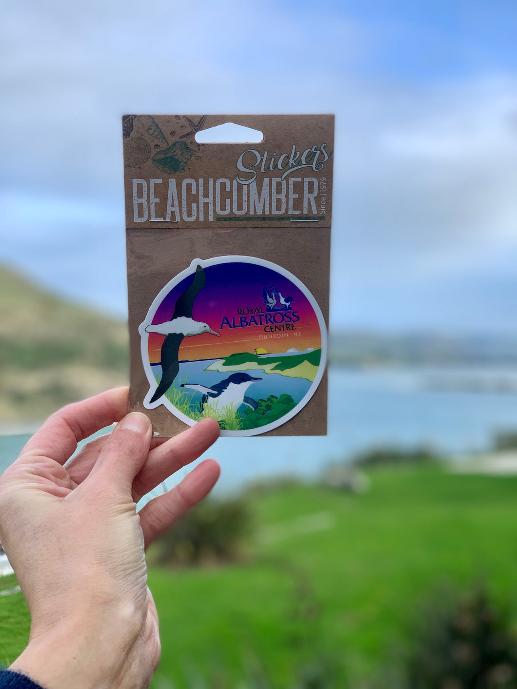 Beachcomber Sticker - 'Royal Albatross Centre' - Small