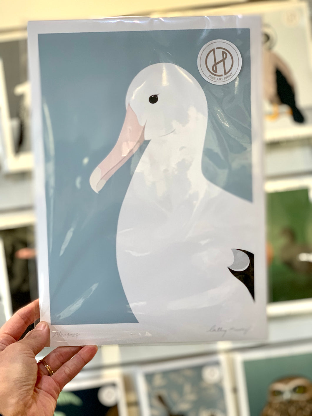 Cathy Hansby - Albatross A4 Print