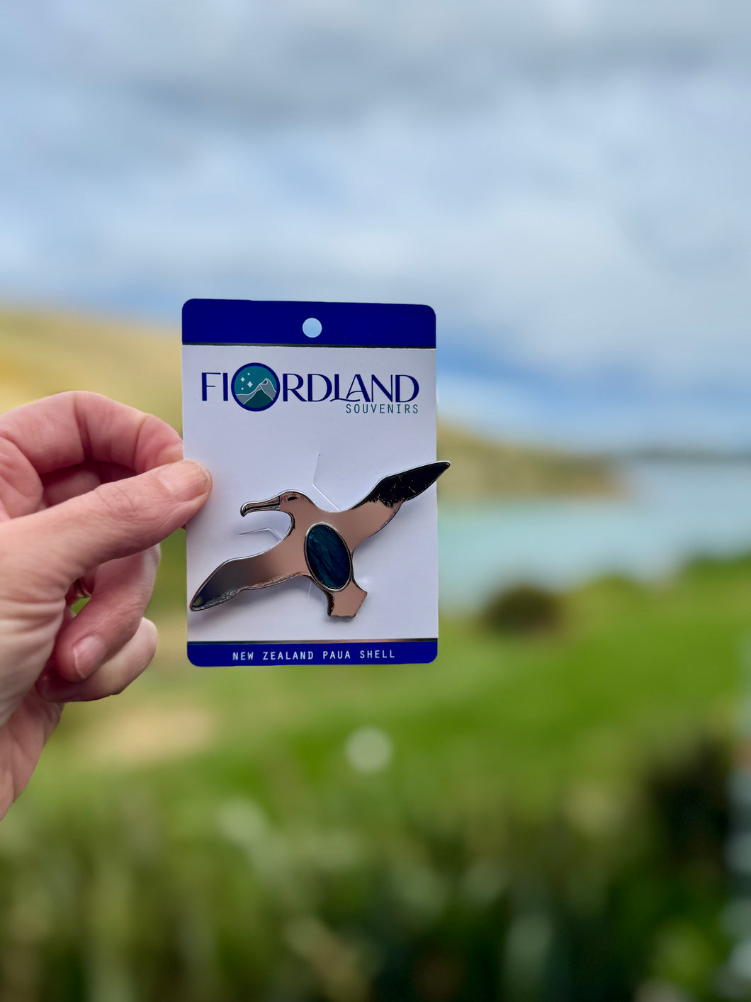 Fiordland Albatross Brooch