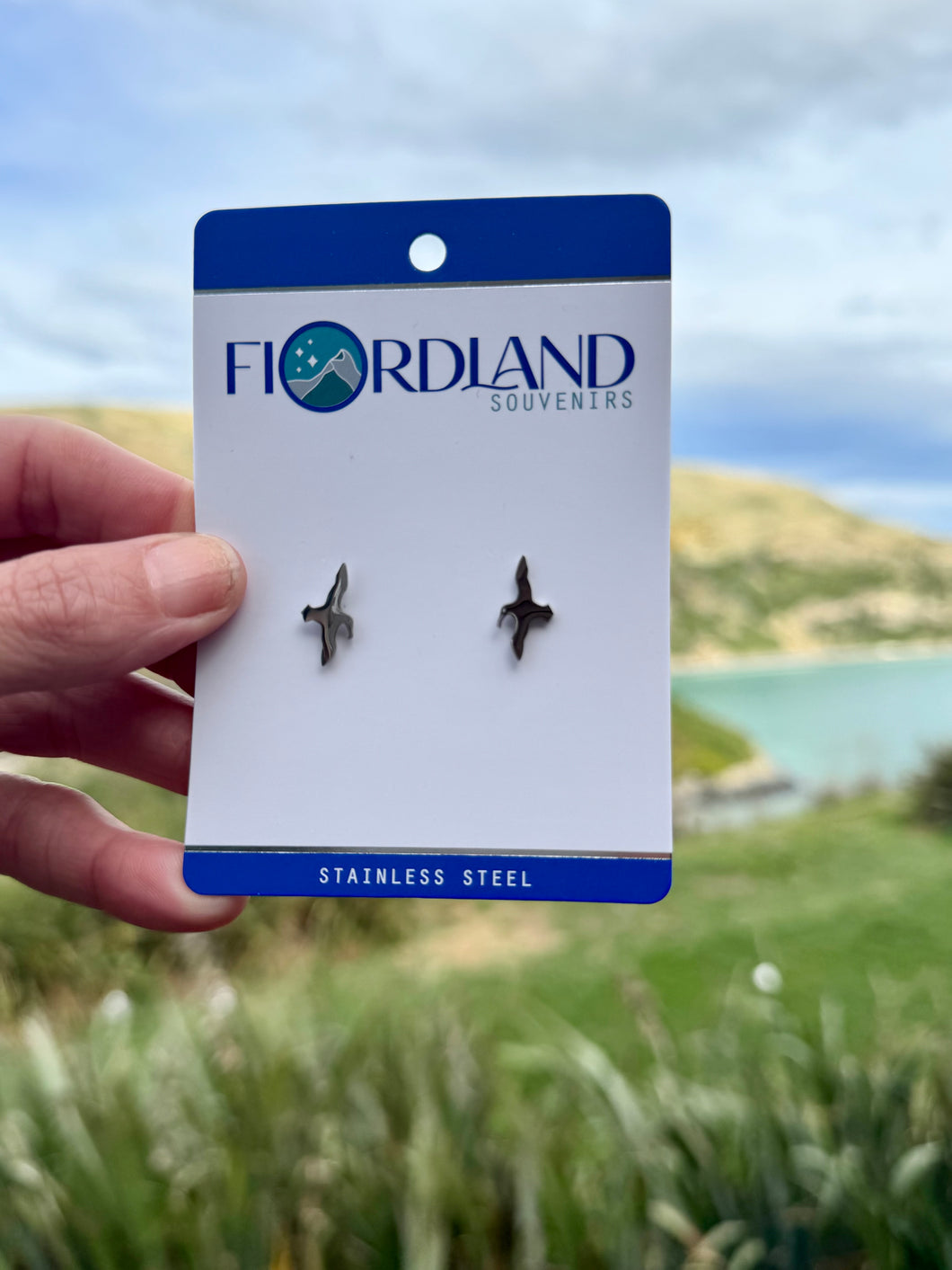 Fiordland Albatross Studs
