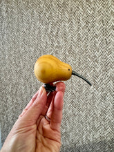 Load image into Gallery viewer, Kevin The Kiwi
