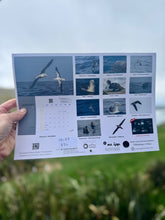 Load image into Gallery viewer, Black Stallion Photography - Seabirds of NZ 2026 - Calendar
