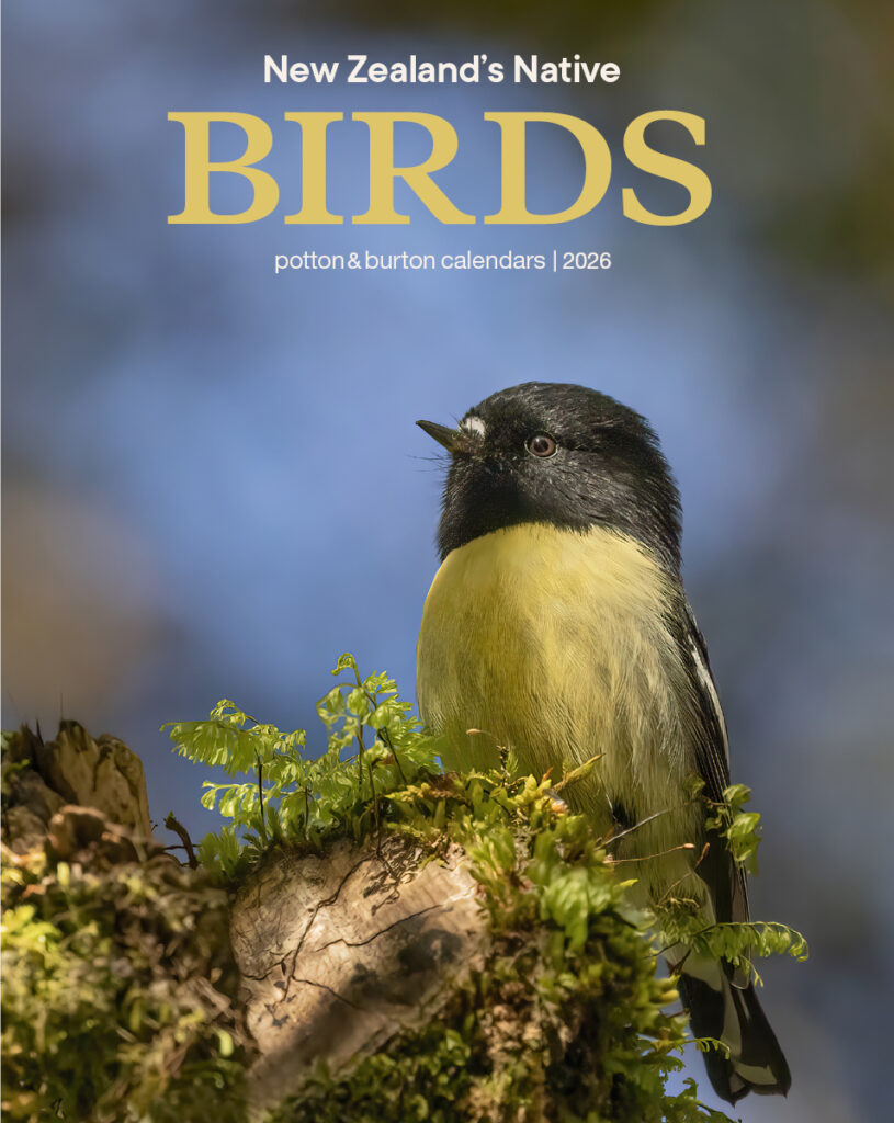 NZ Native Bird Calendar