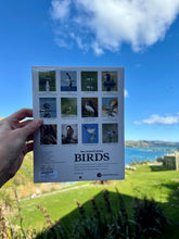 Load image into Gallery viewer, New Zealand&#39;s Native Birds Calendar (Potton &amp; Burton) 2025
