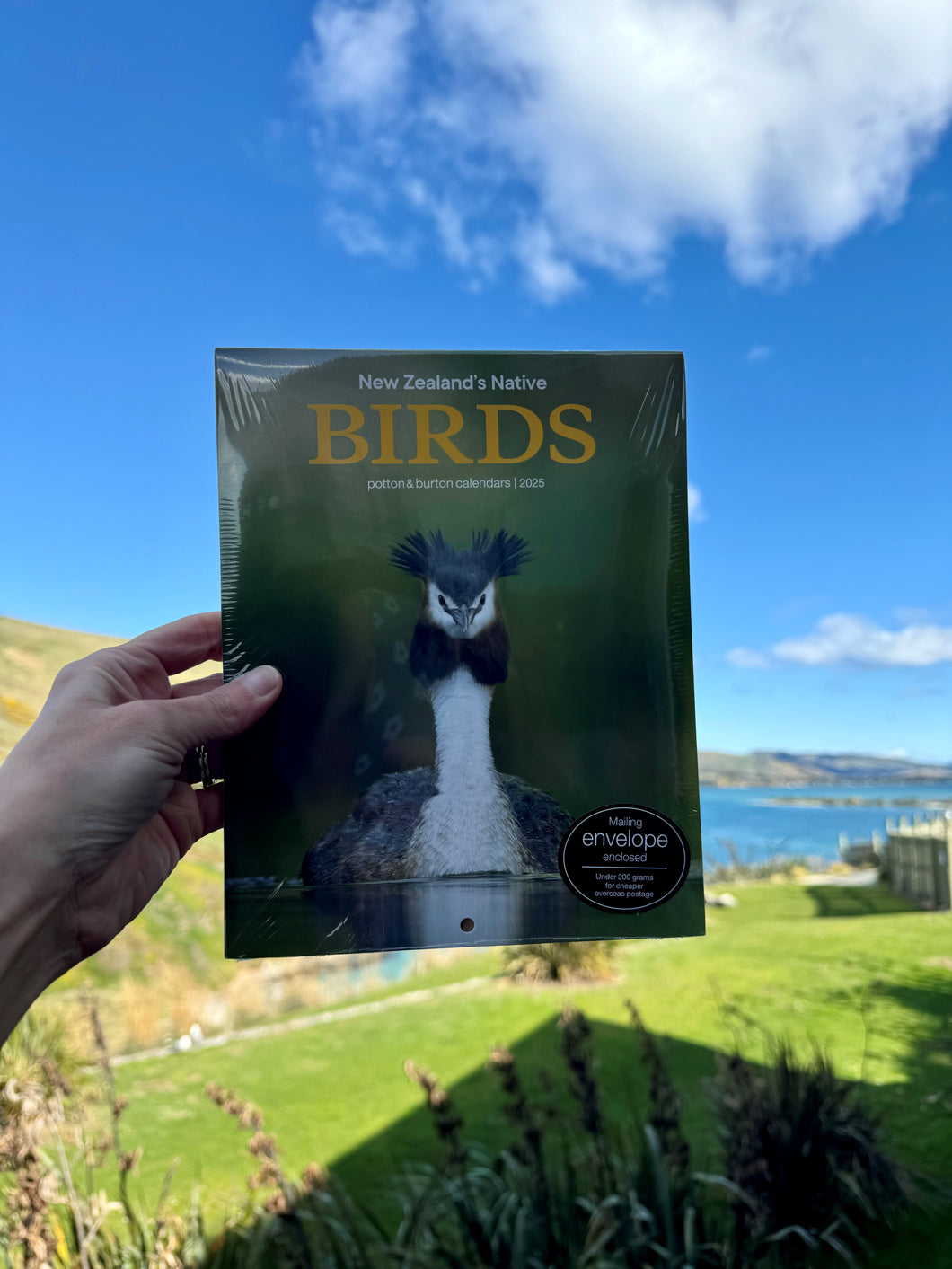 New Zealand's Native Birds Calendar (Potton & Burton) 2025