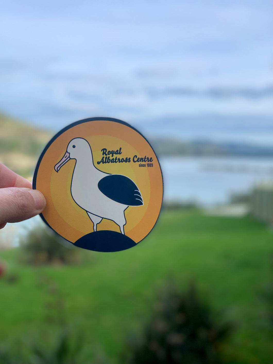 Stickyweed Sticker 'Retro Royal Albatross Centre' - Small