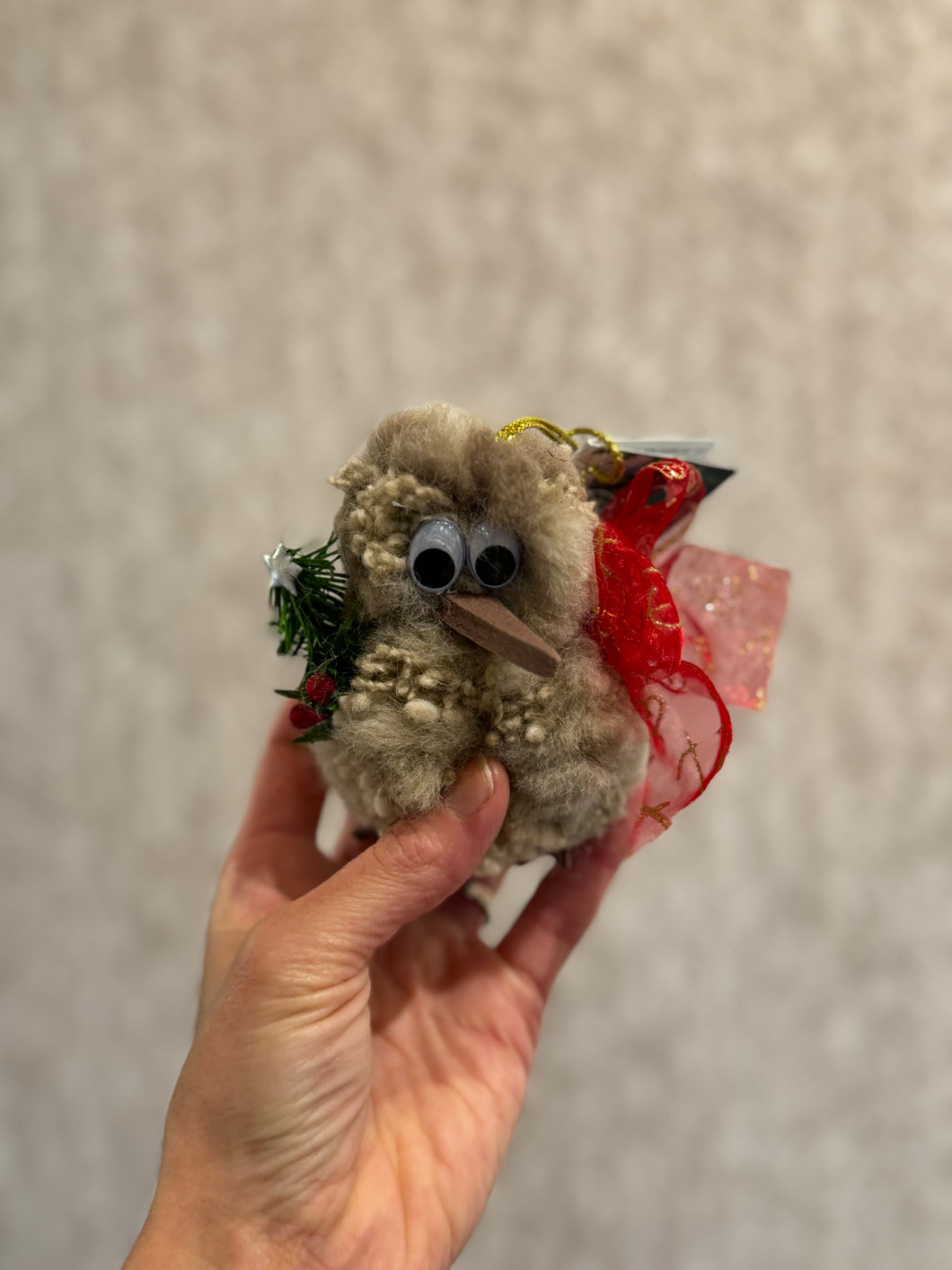 Christmas Kiwi
