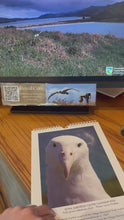 Load and play video in Gallery viewer, Royal Albatross Centre Calendar 2026
