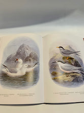 Load image into Gallery viewer, Bullers Birds of NZ
