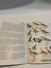 Load image into Gallery viewer, Handguide to Birds of NZ
