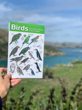 Load image into Gallery viewer, Birds and Native Mammals of NZ Guide - Lloyd Elser
