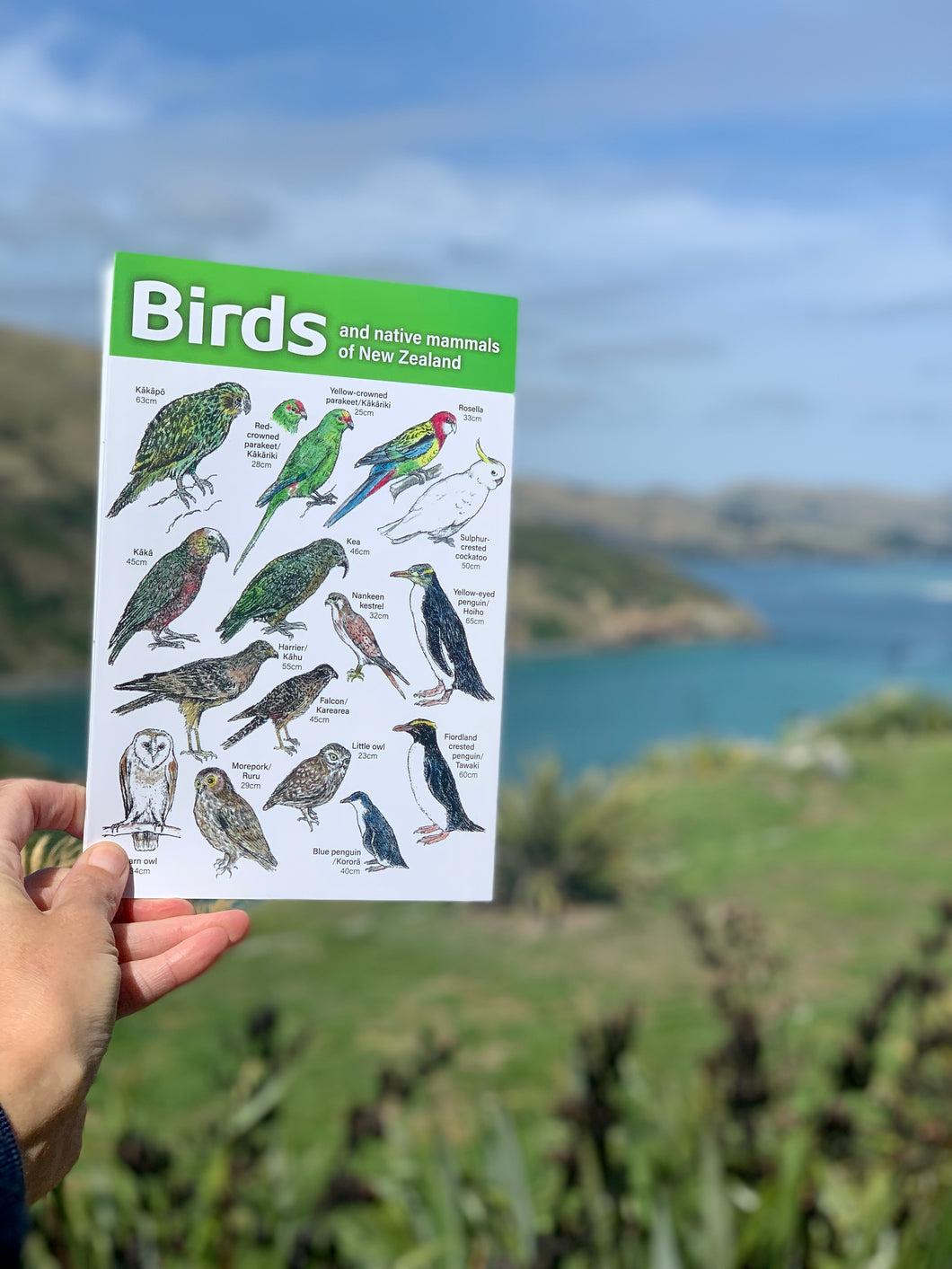 Birds and Native Mammals of NZ Guide - Lloyd Elser